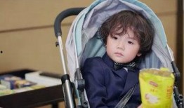 爆料老板萌照视频大全集,揭秘职场中的可爱瞬间